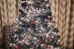 Christmas Tree 2022