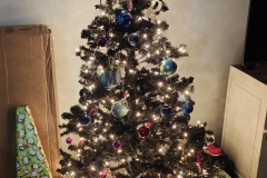 IMG_20241224_221943214_HDR