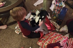 IMG_20241213_184038955