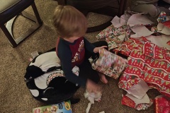 IMG_20241213_184213035