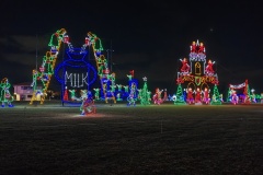 IMG_20241214_182414729
