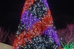 IMG_20241214_184203459